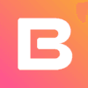 Bread Wallet logo